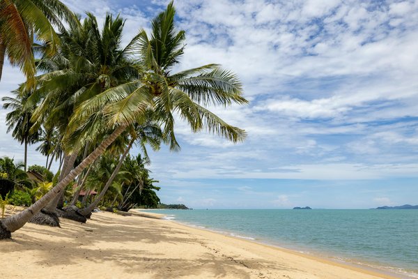 Discover Thrilling UK Cruises with Hands-On Archaeology Adventures Ashore