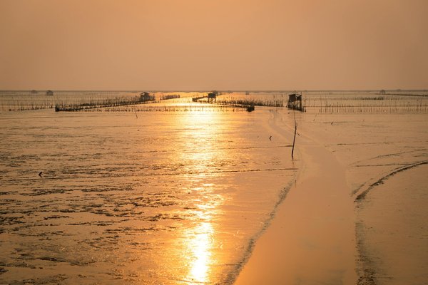 Affordable Adventures: Top Tips for Wallet-Friendly Guided Tours in the South Downs